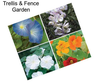 Trellis & Fence Garden