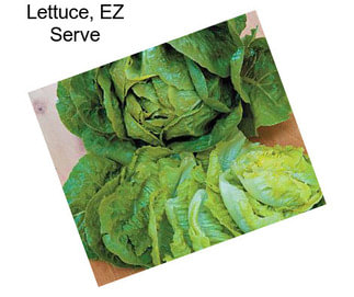 Lettuce, EZ Serve