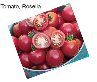 Tomato, Rosella