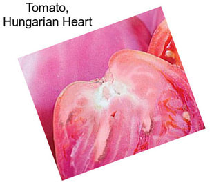 Tomato, Hungarian Heart