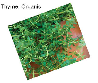 Thyme, Organic