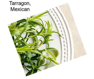 Tarragon, Mexican