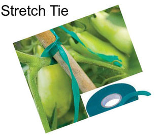 Stretch Tie