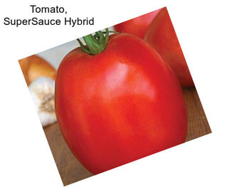 Tomato, SuperSauce Hybrid