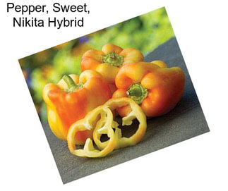 Pepper, Sweet, Nikita Hybrid