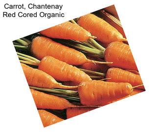 Carrot, Chantenay Red Cored Organic