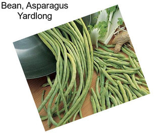 Bean, Asparagus Yardlong