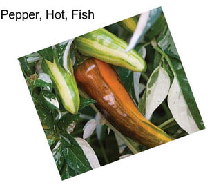 Pepper, Hot, Fish