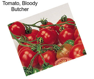 Tomato, Bloody Butcher
