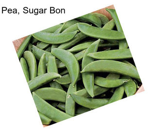 Pea, Sugar Bon