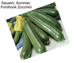 Squash, Summer, Fordhook Zucchini