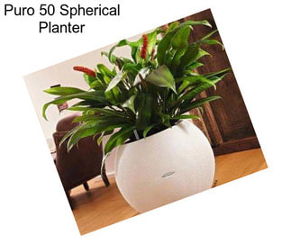 Puro 50 Spherical Planter
