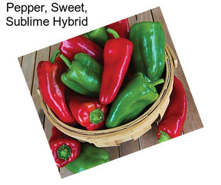 Pepper, Sweet, Sublime Hybrid