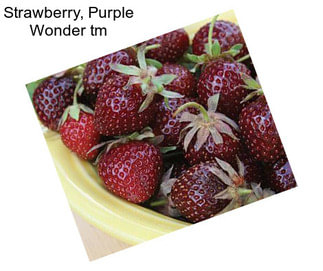 Strawberry, Purple Wonder tm