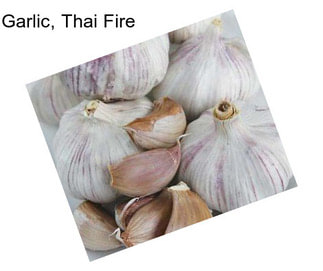 Garlic, Thai Fire