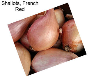 Shallots, French Red