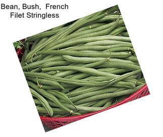 Bean, Bush,  French Filet Stringless