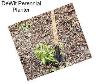 DeWit Perennial Planter