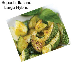 Squash, Italiano Largo Hybrid