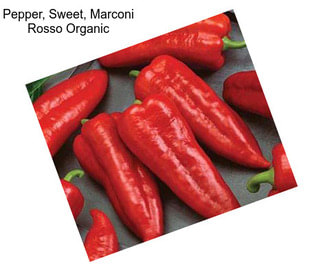 Pepper, Sweet, Marconi Rosso Organic