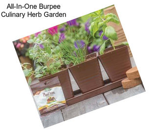 All-In-One Burpee Culinary Herb Garden