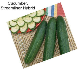 Cucumber, Streamliner Hybrid