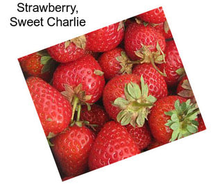 Strawberry, Sweet Charlie