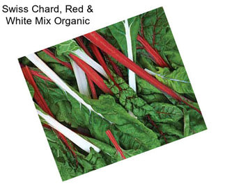 Swiss Chard, Red & White Mix Organic