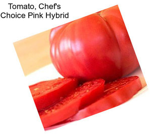 Tomato, Chef\'s Choice Pink Hybrid