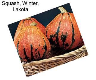 Squash, Winter, Lakota