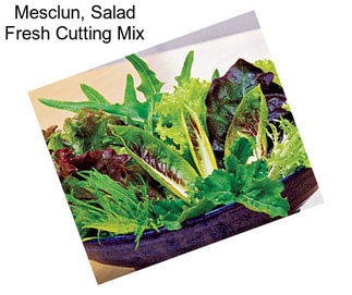 Mesclun, Salad Fresh Cutting Mix