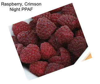 Raspberry, Crimson Night PPAF