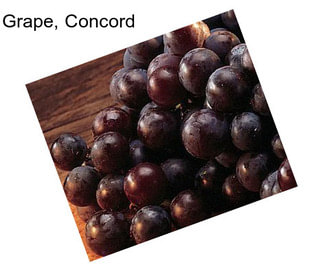 Grape, Concord