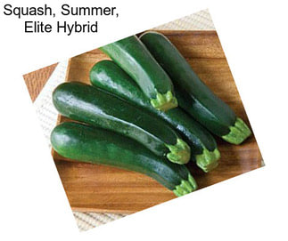 Squash, Summer, Elite Hybrid