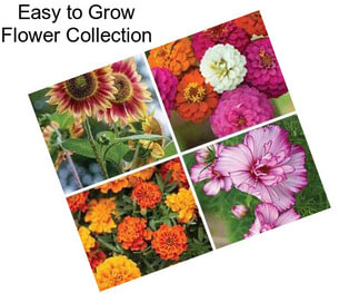 Easy to Grow Flower Collection