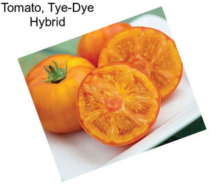 Tomato, Tye-Dye Hybrid