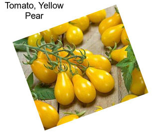 Tomato, Yellow Pear