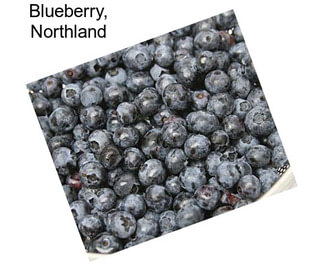 Blueberry, Northland