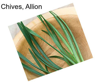 Chives, Allion