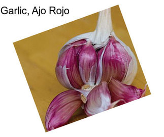 Garlic, Ajo Rojo