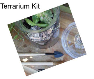 Terrarium Kit