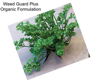 Weed Guard Plus Organic Formulation