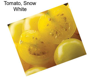 Tomato, Snow White