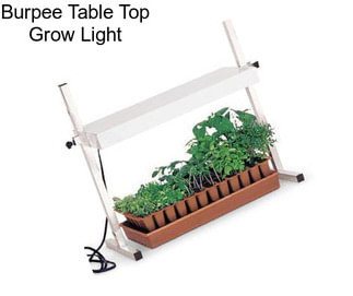 Burpee Table Top Grow Light