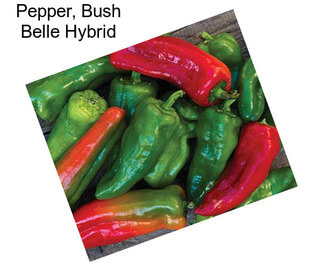 Pepper, Bush Belle Hybrid