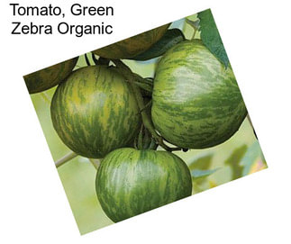 Tomato, Green Zebra Organic