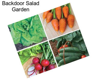 Backdoor Salad Garden