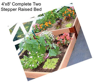 4\'x8\' Complete Two Stepper Raised Bed