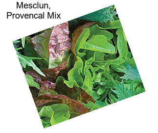 Mesclun, Provencal Mix