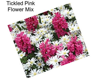 Tickled Pink Flower Mix